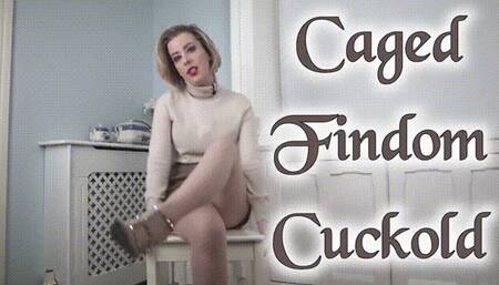 Caged Findom Cuckold