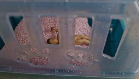 Footbitch gets vored