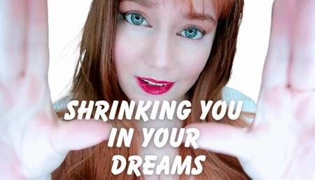 Shrinking You In Your Sleep