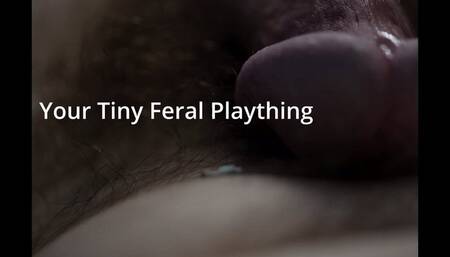 Giantess Cassie - Your Tiny Feral Plaything (Augmented Reality Audio)