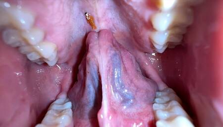 Giantess Cirilla - New Toy