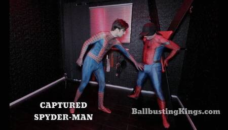 Captured Spyder-Man - Ballbusting Kings