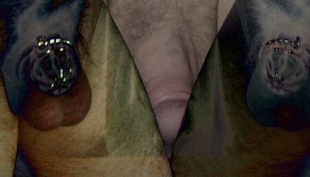 Solo Male Caged for Anal Mindfuck