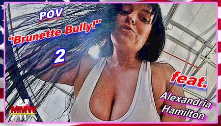 POV: Brunette Bully! 2 WMV