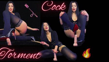 Cock Torment (Pain & Pleasure)