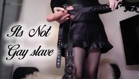 It's Not Gay slave