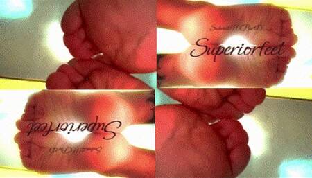 Submit!!! (Full version)