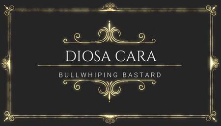 Bullwhipped Bastard by Mistress Cara