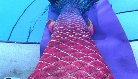 Carissa in her new mermaid tail