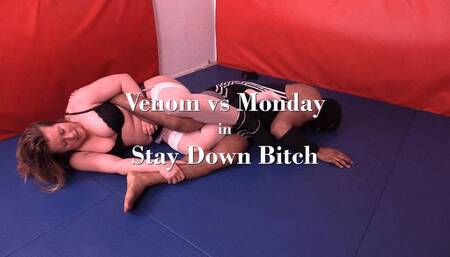 F770 - Stay Down Bitch