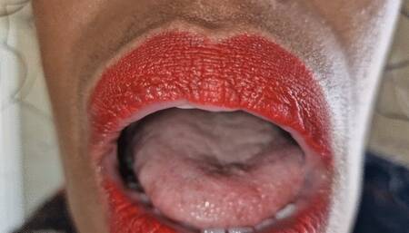 My Mouth Your Fantasy