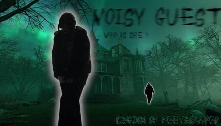 noisy guest (HD 720p MP4)