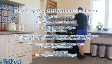 Glue Trap Prank HD MultiCam Part 1