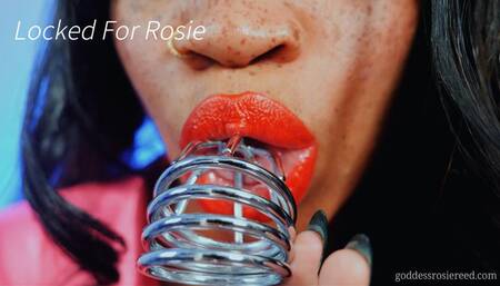 Locked Forever- Ebony Femdom Goddess Rosie Reed Chastity Tease And Denial Submissive Provider Chastity- 1080p HD