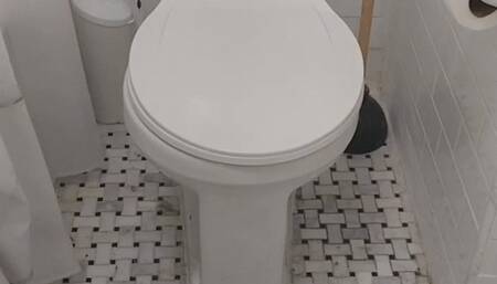 Prove You're Worthy to be my Toilet