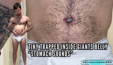 Tiny trapped inside giants belly button “stomach sounds”
