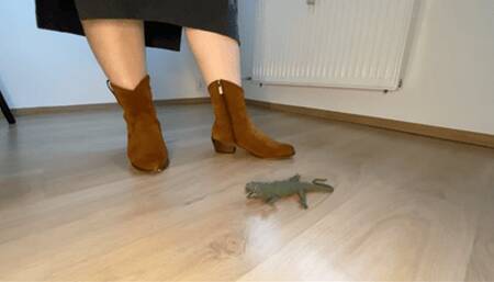 Lizard trampling in boots