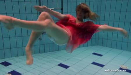 Miss's brunette porn