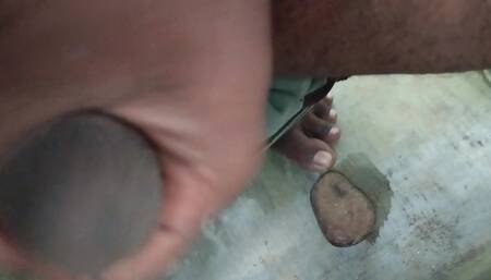 Telugu Black Cock