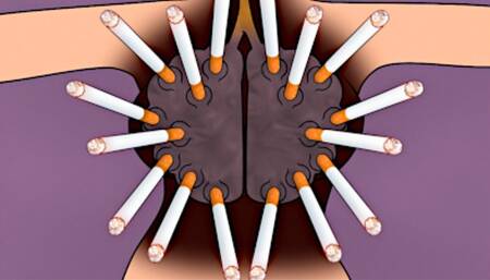 Lesbian Cigarette Sex with Smoking Girls Fucking a Cigarette: A Dark Side Smoking Fetish Fantasy