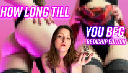 How Long Till You BEG? (BETA CHIP EDITION)