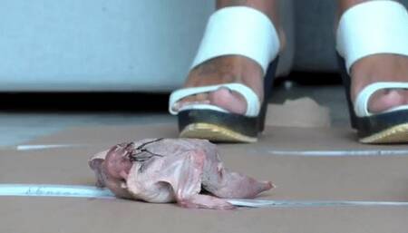 Italian girlfriend - quails meat crush fetish in 3 different shoes food crush pov view heavy cam 2