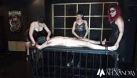 Wiched tickle until he cums struggling in bondage by Mistress Alexandra, Miss Julietta and Pandora