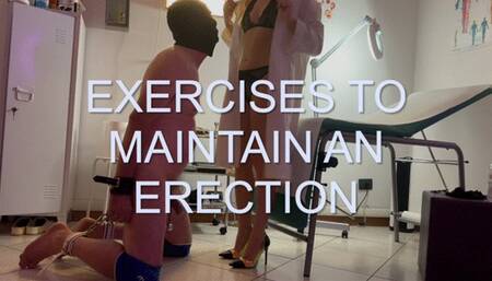 GEA DOMINA - EXERCICES TO MAINTAIN AN ERECTION (MOBILE)