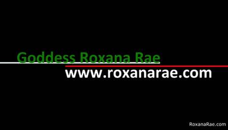 December Tiny Dick Tax 2023