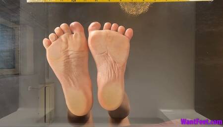 Wrinkled Soles on Glass - HD MP4