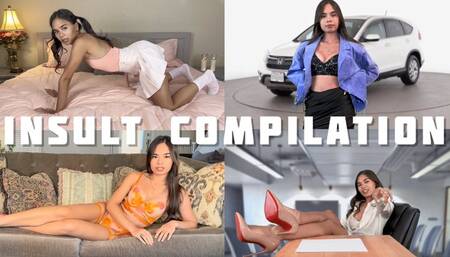 Insult Compilation