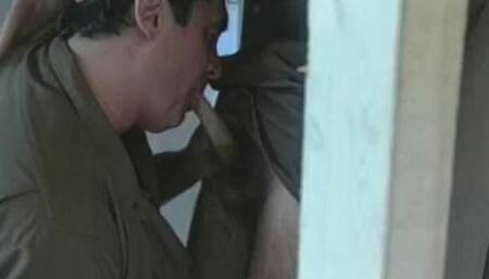 What Can Brown Do For You?