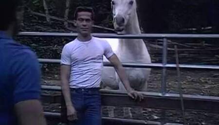 Taboo Lifestyles of the Rich