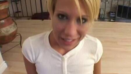 Four Cocks for Amber Wild