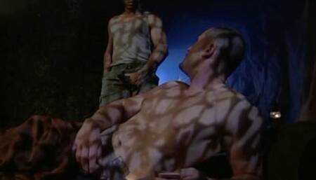 Moonlight Madness Military Sex