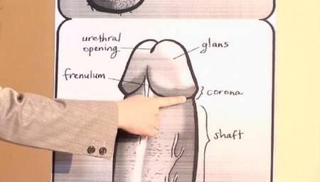 Cocksucking for Dummies