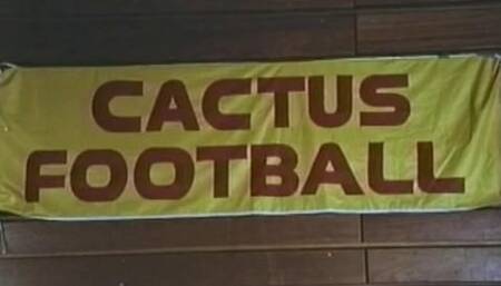 Sue Nero Loves Football