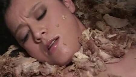 Tonight the Gang Has Chicken Delight