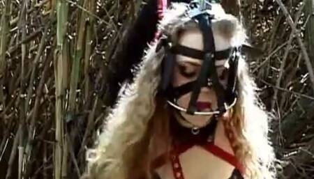 Welcome To The Pony GIrl Prison