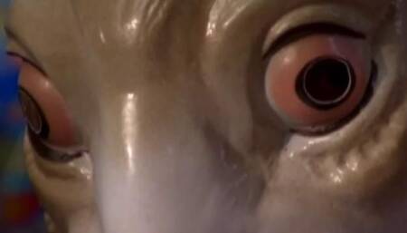 The Easter Bunny Is Here