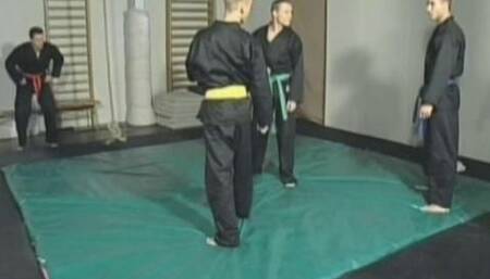 Everybody Was Kung Fu Fighting