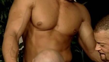 Dreams of Turkey, Dreams of Desire