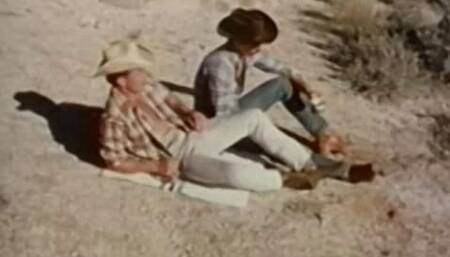 Cowboys Hot in the Desert