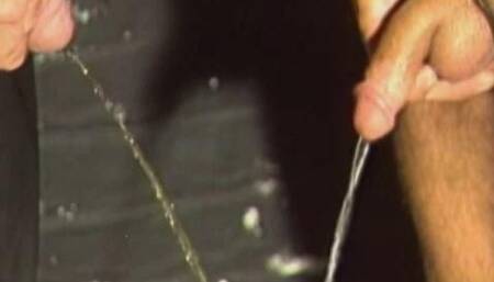 Fucking and Pissing Pigs