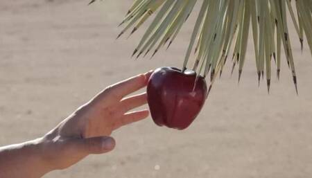 Christie Stevens Will Tempt You