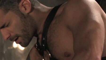 Tall, Dark and Hairy In Leather