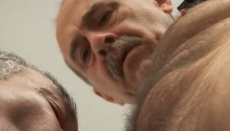 Retired Porn Actor Agrees to One More