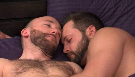 In Morning the Timber Grows Tall