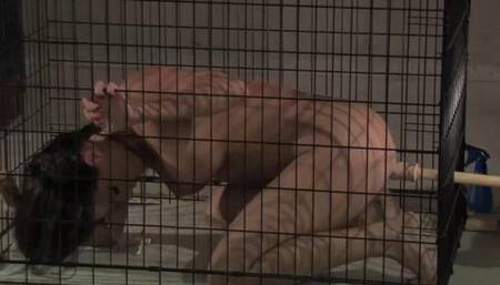Daisy Duxxx Caged And Fucked With A Stick