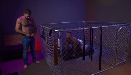 Breeding The Bitch At The Kennel